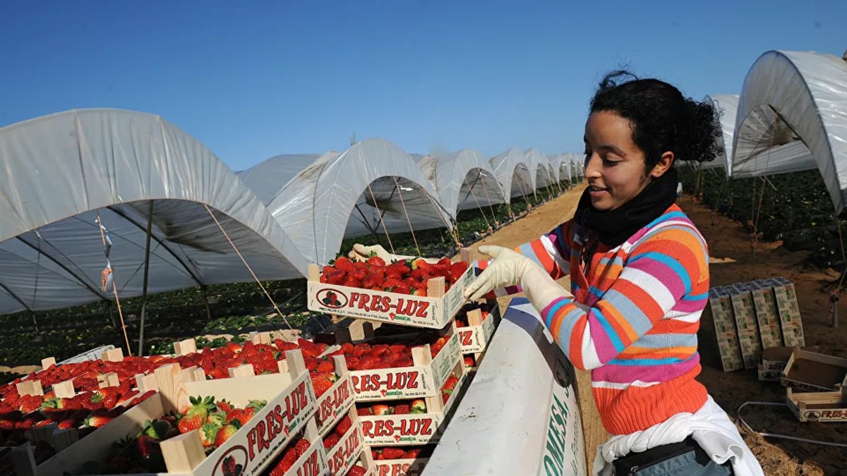 Agricultores inmigrantes ferozmente vulnerados en España durante la pandemia