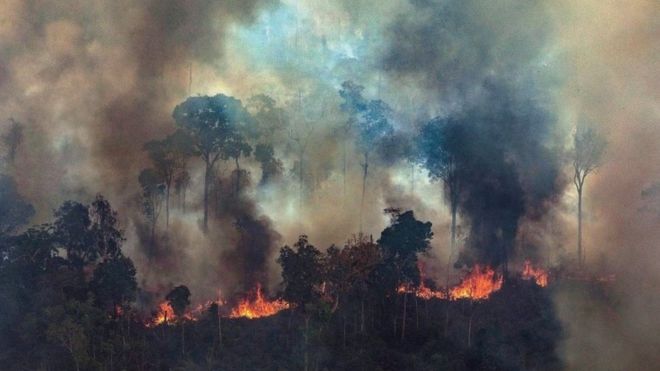 Un algoritmo predice la dificultad para combatir incendios forestales