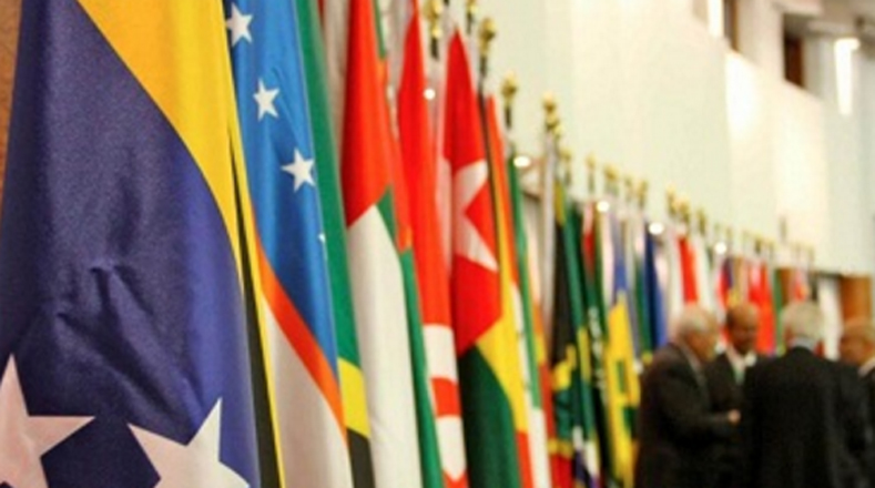 Cumbre virtual del Mnoal contó con la participación de Venezuela