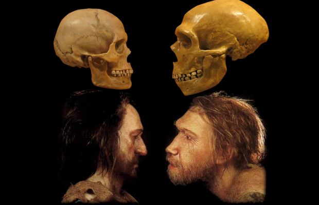 Supercomputadora logra simular la extinción de los neandertales