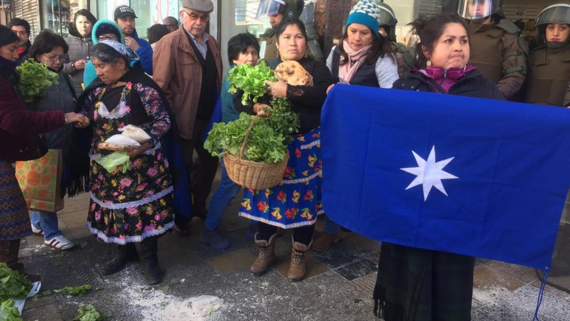 Temuco: Exigen terminar con violencia, discriminación y abandono a hortaliceras mapuche