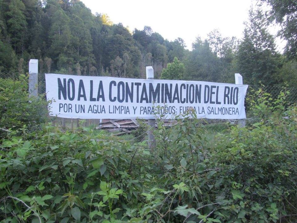 Comunidades mapuche recurren al Tribunal Ambiental para exigir dejar sin efecto RCA de empresa salmonera
