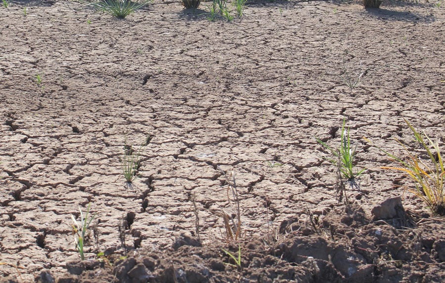 Organizaciones ambientales y sociales rechazan avance de proyectos extractivistas durante la pandemia