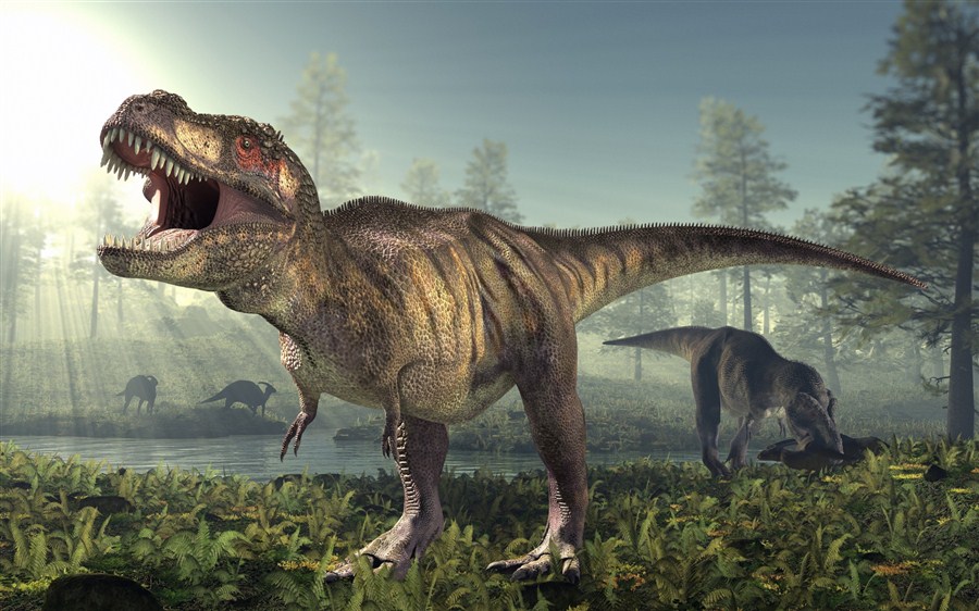 Revelan nuevos datos sobre el Tiranosaurio y su incapacidad para correr