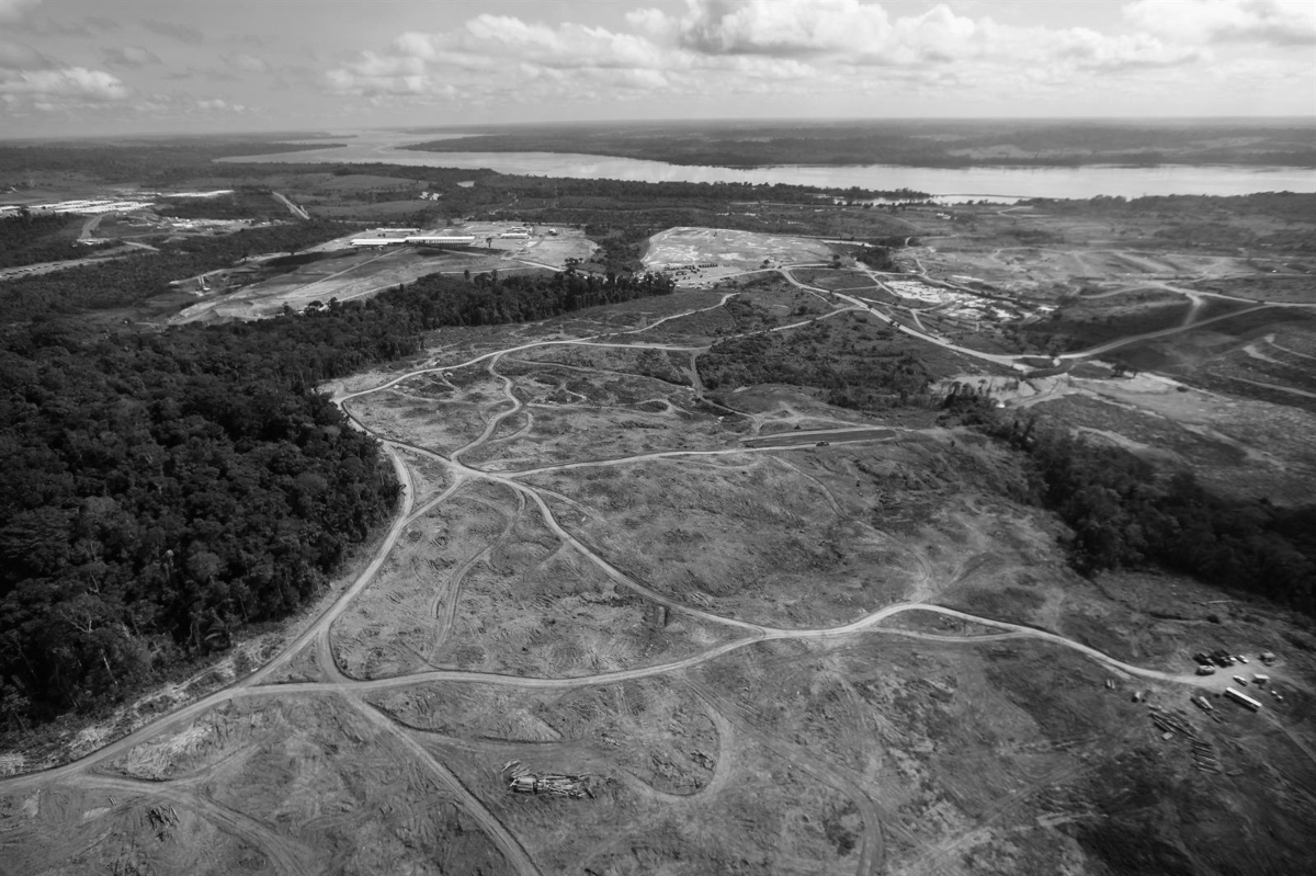 Efeito Bolsonaro: como um presidente conseguiu destruir a Amazônia brasileira em tempo recorde