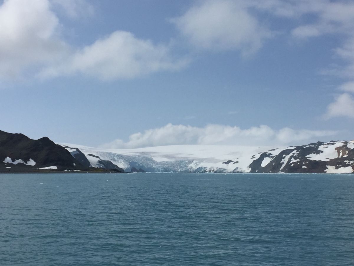 Investigación científica chilena registró temperaturas de hasta 34 grados en la Antártica
