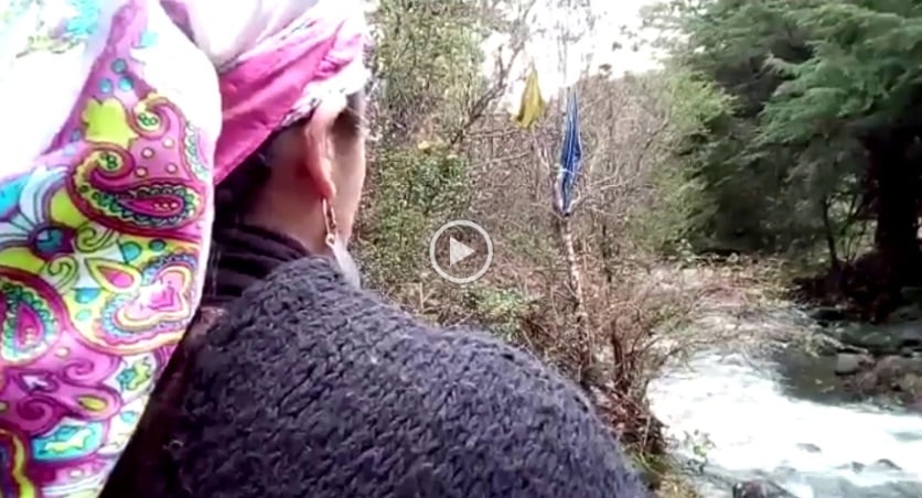 Villarrica: Comunidades mapuche del Río Chesque rechazan instalación de salmonera