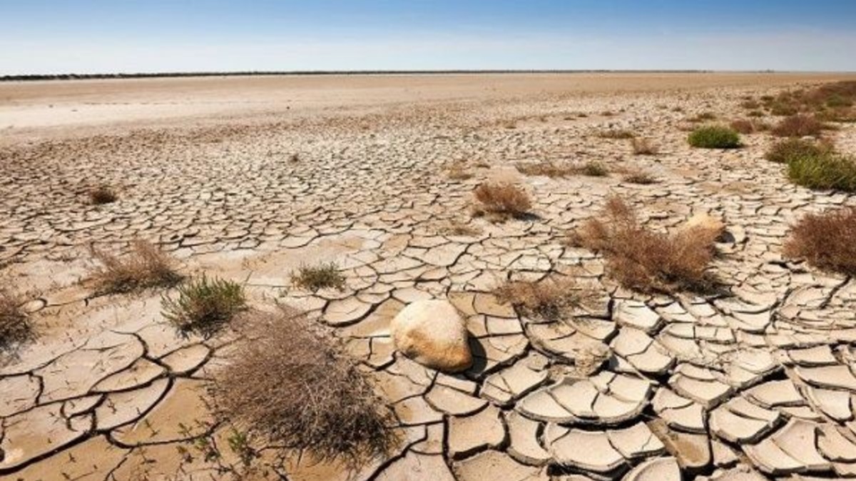 ¿Cuál es el impacto ambiental en la sequía y la desertificación?