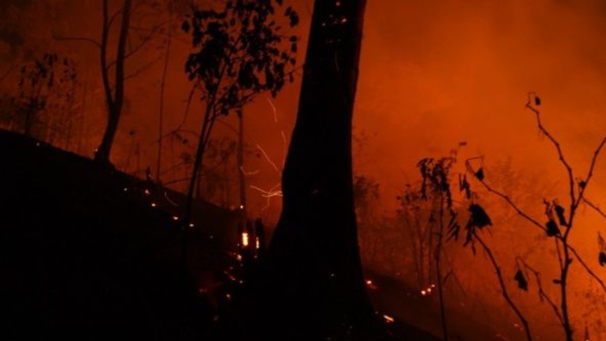 Incendio forestal pone en peligro territorio indígena en São Paulo