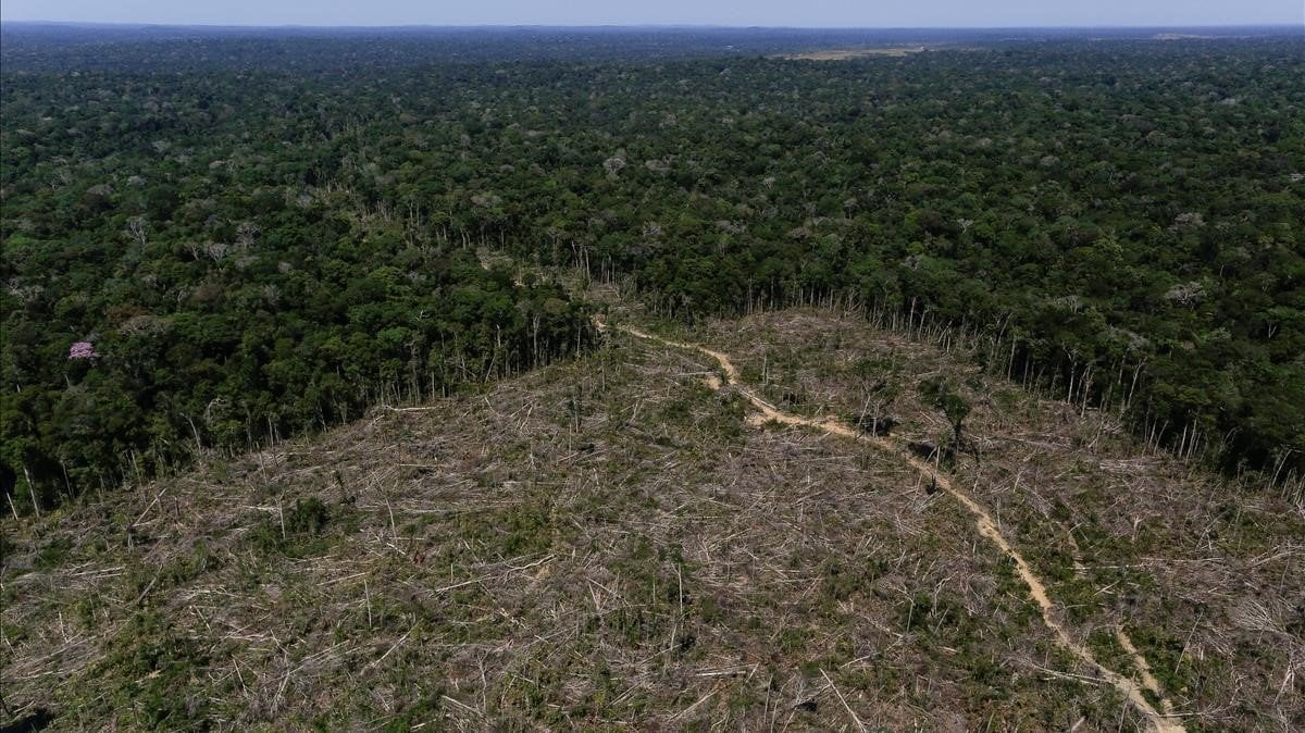 Brasil: Alertas por deforestación en la Amazonía baten récord durante octubre