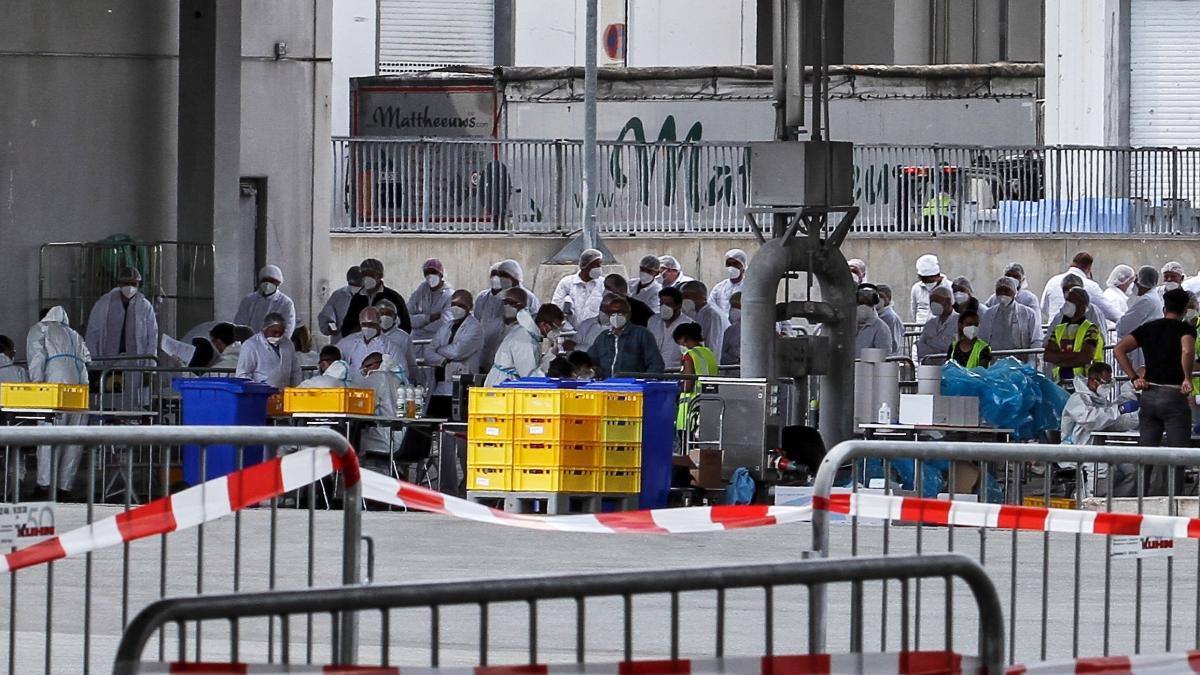¿Retroceso? Alemania ordena confinar a habitantes del distrito de Gütersloh por rebrote de coronavirus