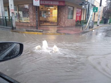Casas inundadas y cortes eléctricos dejan precipitaciones desde  Atacama al Bío Bío
