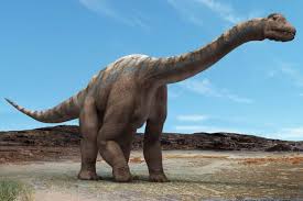 Argentinosaurus | Amigos de los Dinosaurios y la Paleontología