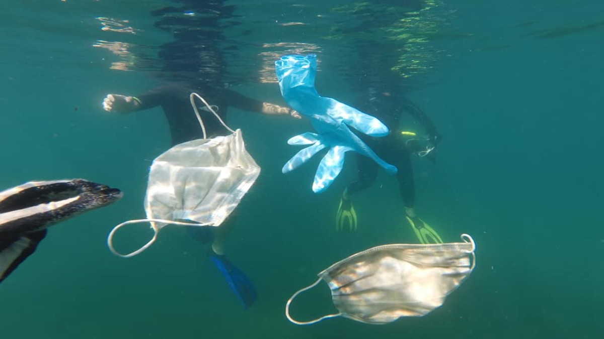 Organización ambientalista denuncia contaminación de mares por desechos de Covid-19