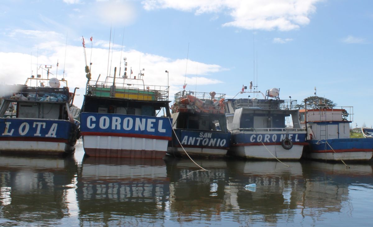 Coronel: Pescadores artesanales realizan cuarentenas en los botes para evitar propagación del virus en sus familias