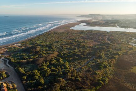 Humedal Río Maipo: “Primera línea” en la protección de oleaje extremo, tormentas y tsunamis en la costa