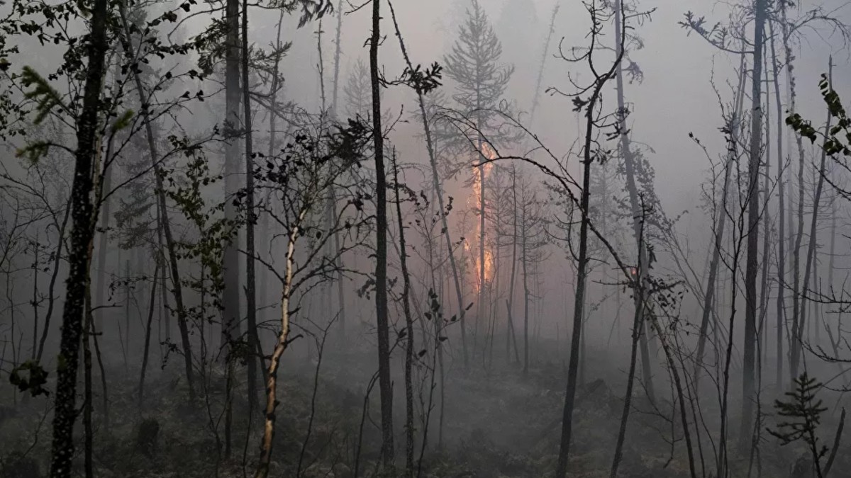 Incendios forestales se extienden en España y Portugal
