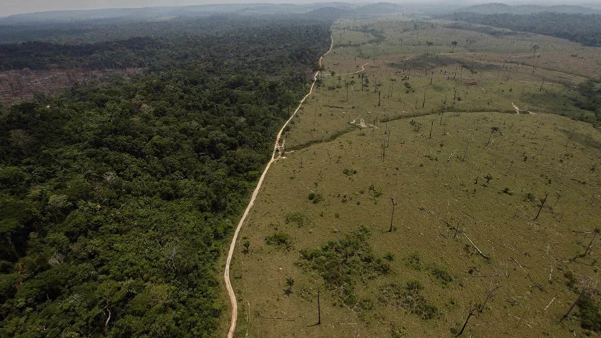 Brasil: Deforestación de la Amazonía alcanzó cifra récord en mayo