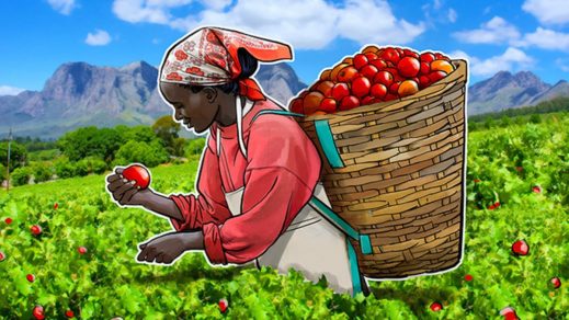 ¿Cómo se vincula el sector agrícola con la tecnología Blockchain en latinoamérica?