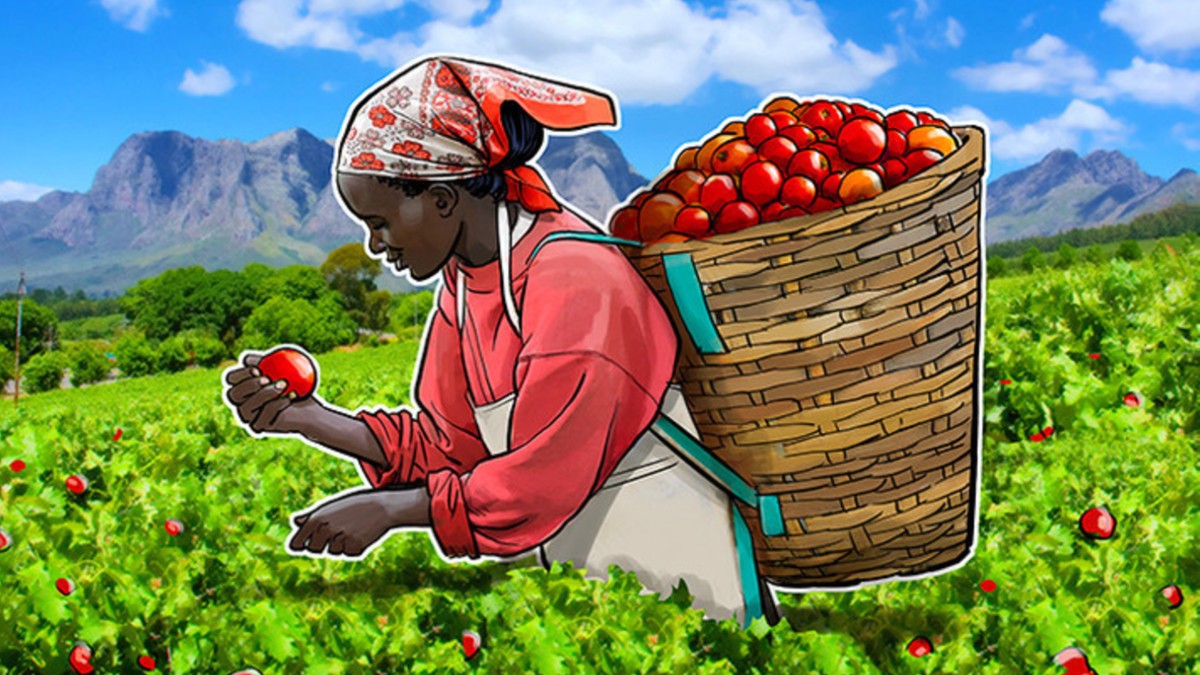 ¿Cómo se vincula el sector agrícola con la tecnología Blockchain en latinoamérica?