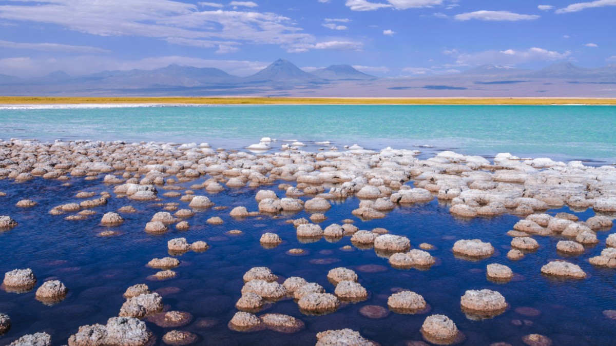 Juez ambiental solicita estudio de agua en Salar de Atacama