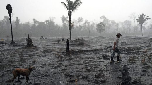 Récord de incendios en 10 años en la Amazonía, alerta Greenpeace
