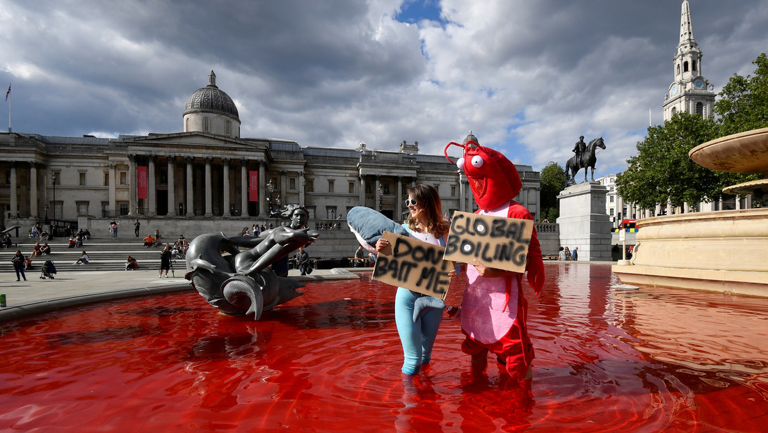 Activistas tiñen de rojo dos fuentes en Londres y piden al Gobierno británico que ponga fin a la cría de animales