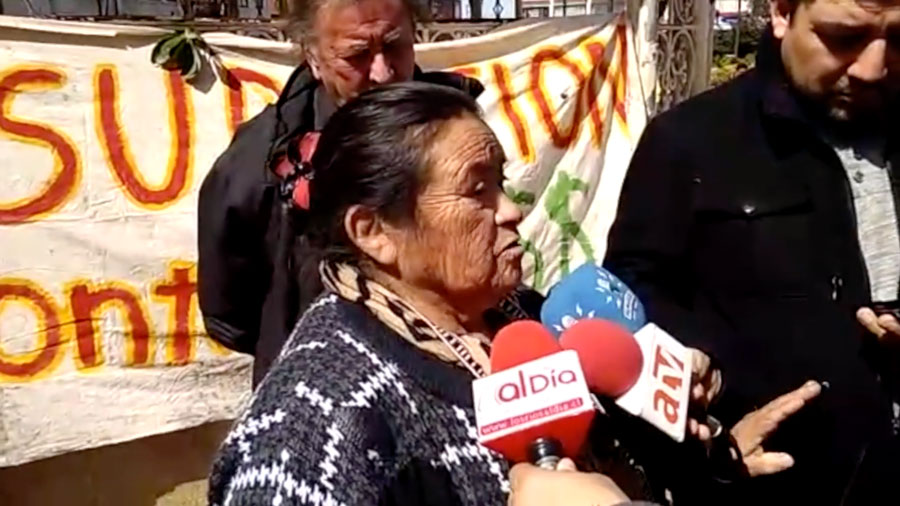 Denuncian intento de usurpación de tierras a anciana mapuche en la costa de Valdivia