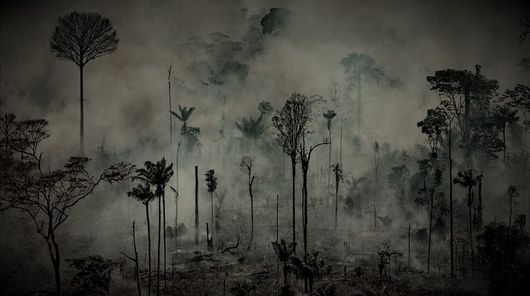 Humadera del Mato Grosso en Brasil alcanza cinco países de la región El ...