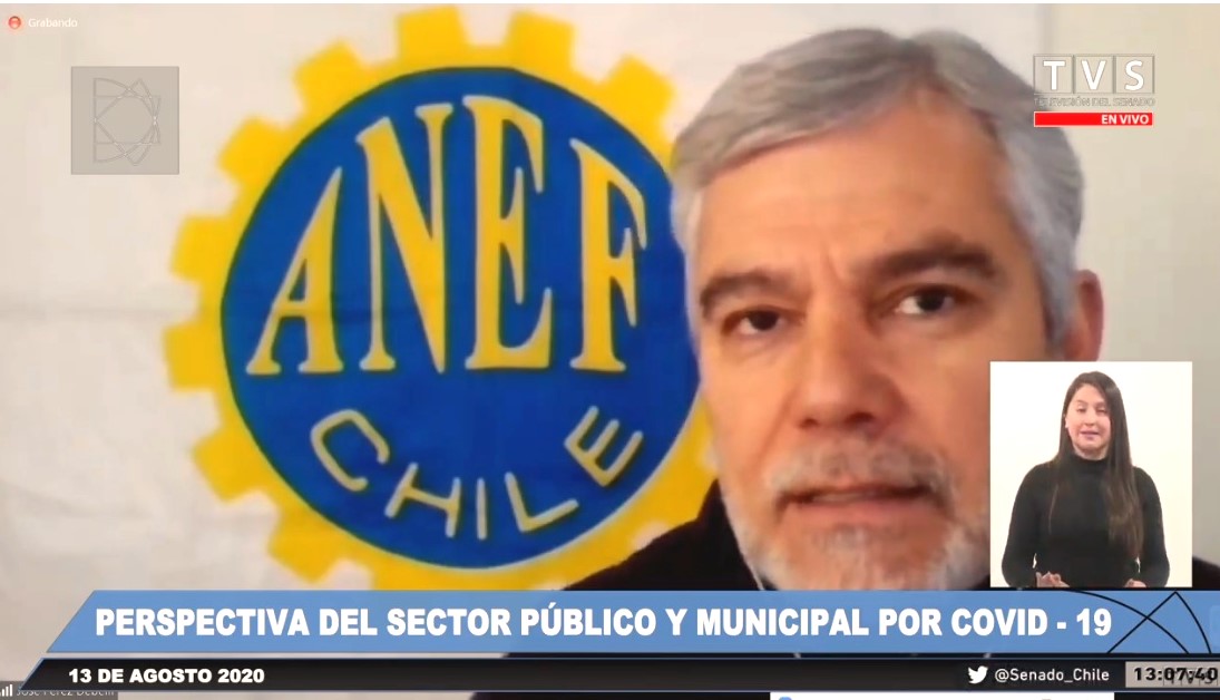 ANEF expuso en el Senado situación del Sector Público durante la pandemia: Gobierno comprometió «instancia de diálogo»