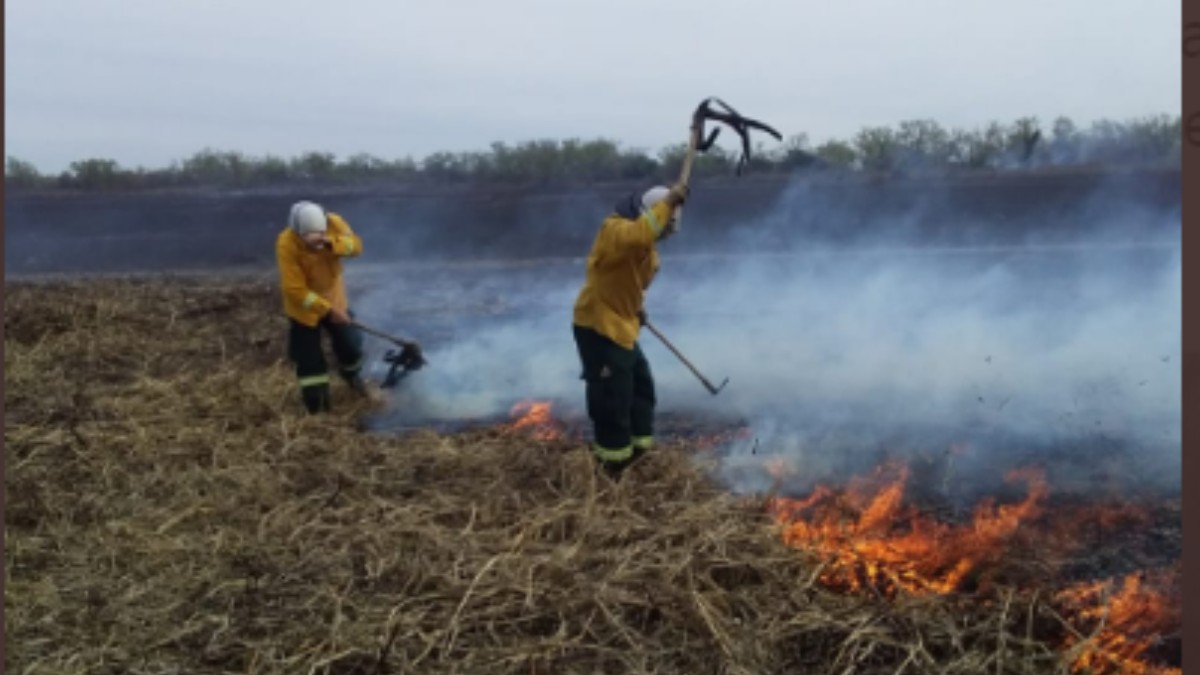 (Video y fotos) Se extienden incendios forestales en Argentina