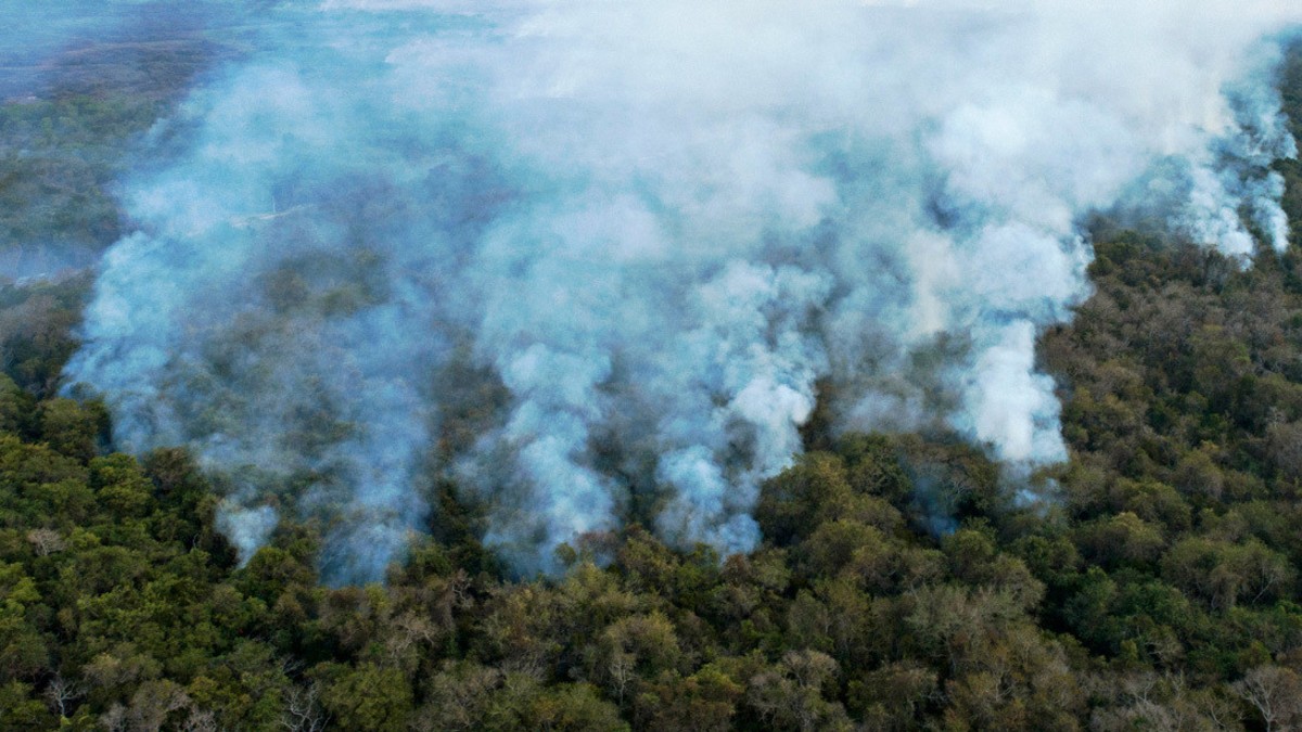 (Fotos) Incendios forestales en el Pantanal causan graves estragos ecológicos