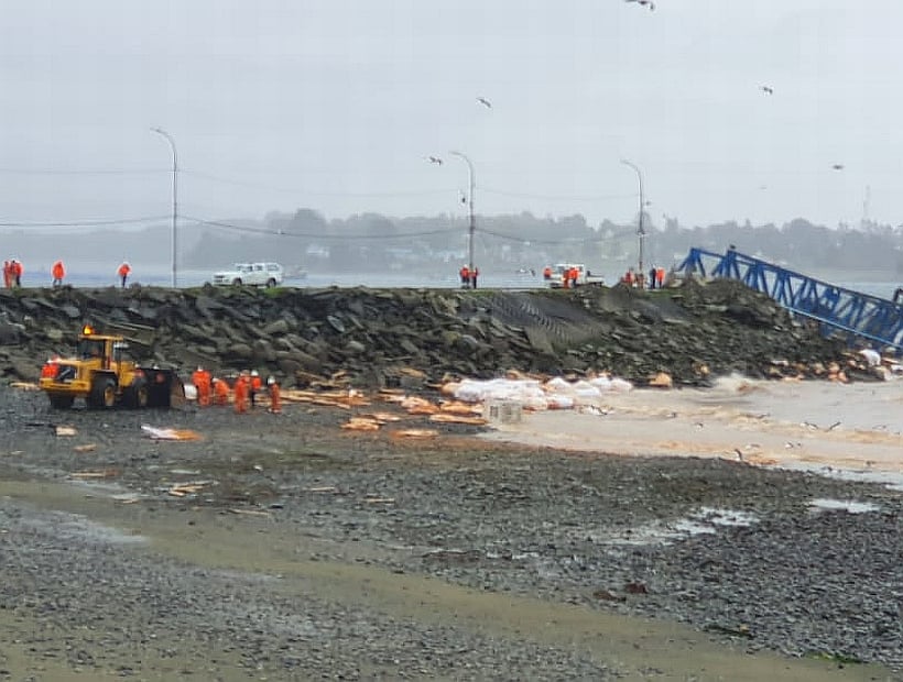 Los Lagos: Preocupación por nueva contaminación salmonera en borde costero de Calbuco