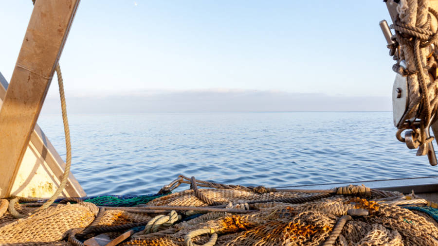 Estudio revela que los océanos son claves para asegurar el abastecimiento de alimentos para el 2050
