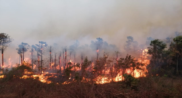 Portugal declara alerta amarilla por incendio forestal