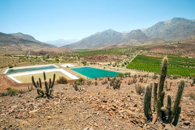 ONU llama a Chile a dar prioridad a los derechos al agua y a la salud antes que los intereses económicos