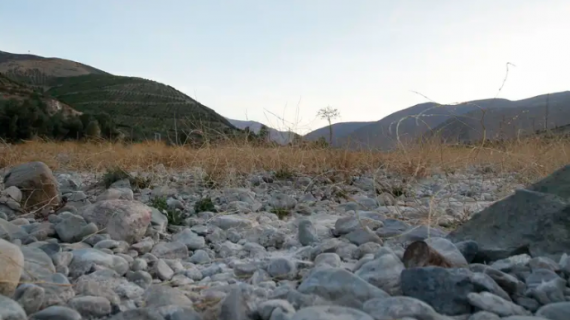 Greenpeace denuncia que el auge de la minería y los cultivos de palta están dejando sin agua a Petorca
