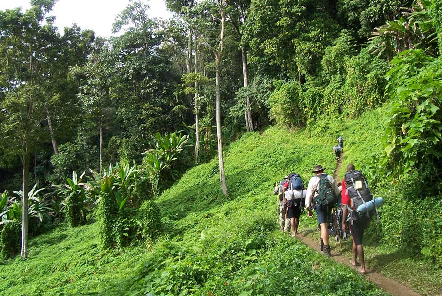 Colombia comenzó apertura progresiva de parques nacionales naturales para el turismo