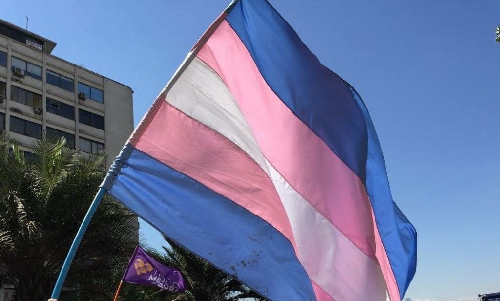 Corte de Apelaciones de Iquique reconoce maternidad de mujer trans