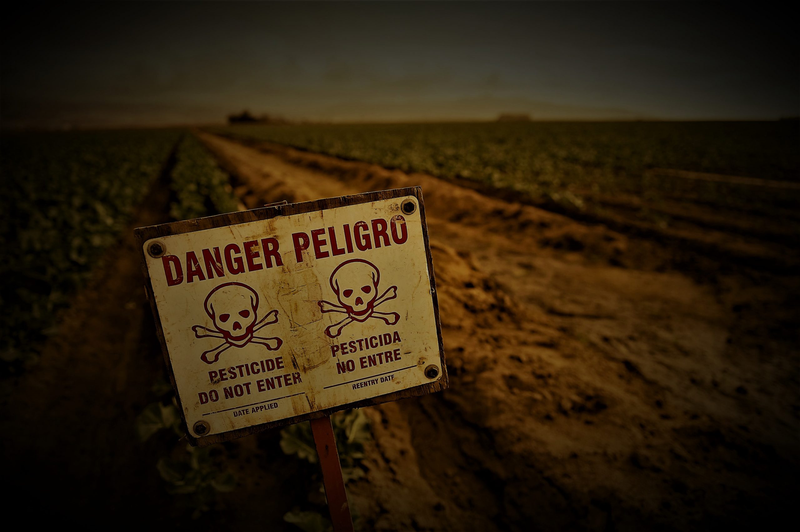 Pesticidas, el turbio negocio europeo: 1,4 M de intoxicados en Brasil por comprar veneno prohibido en primer mundo