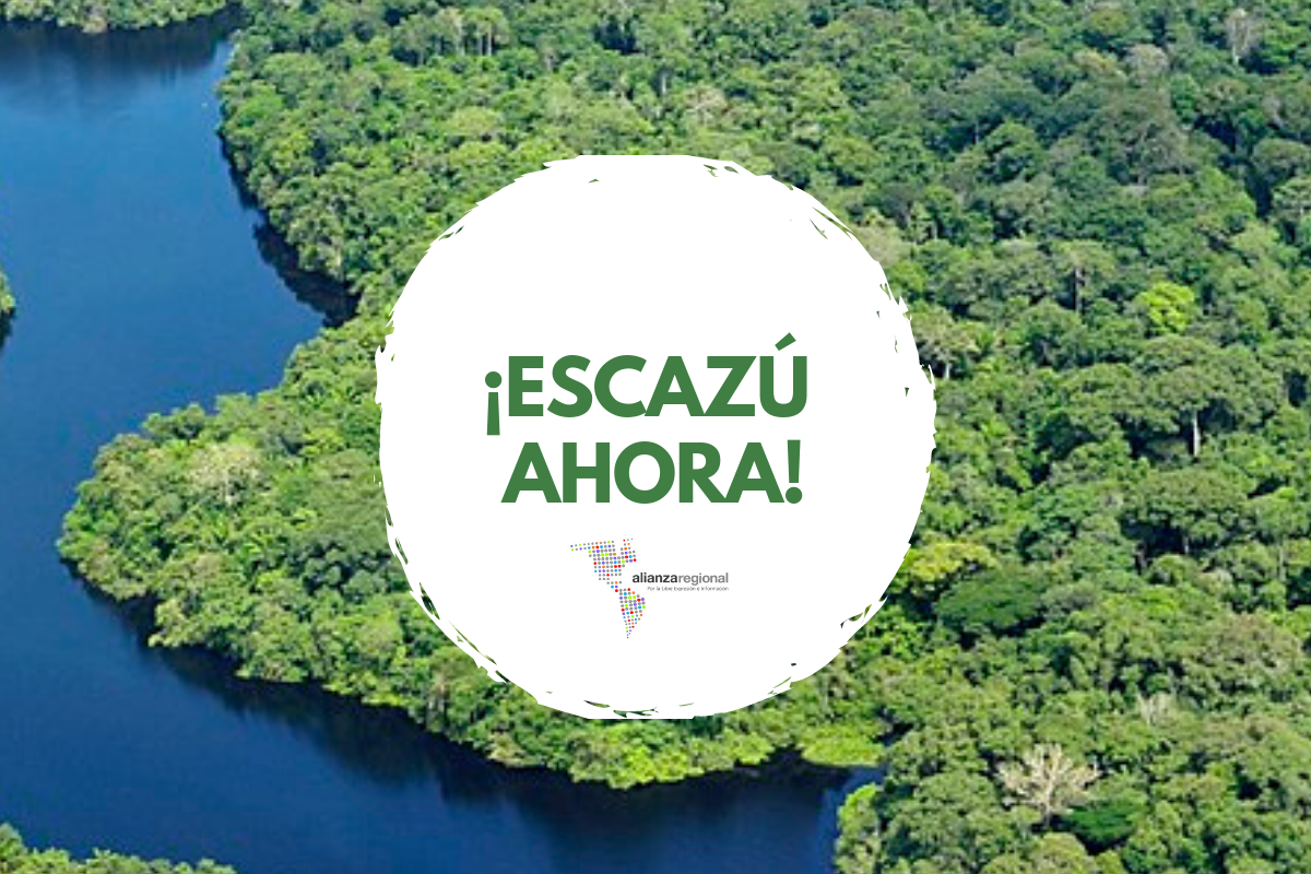 Director nacional de Greenpeace: Negativa al Tratado de Escazú muestra que al Gobierno lo único que le interesa son los negocios