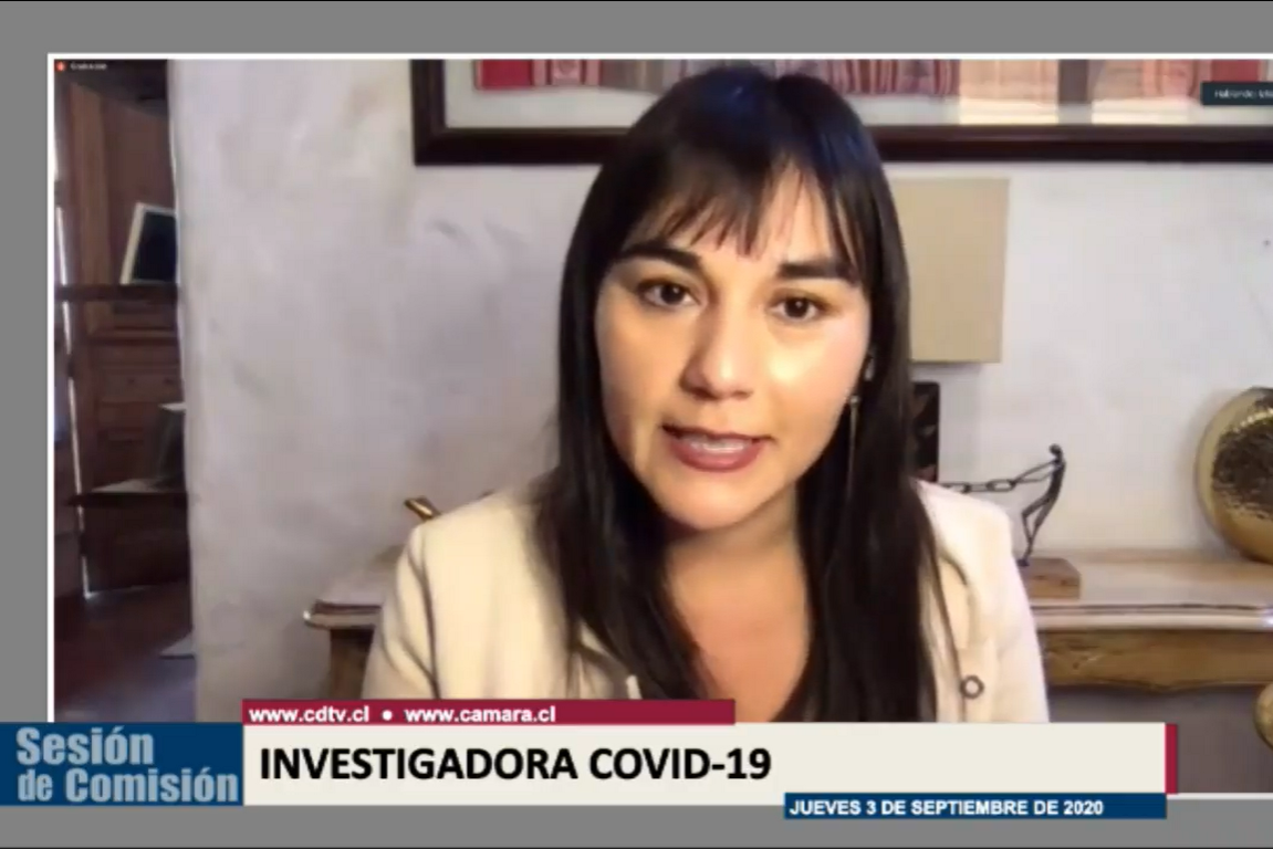 Presidenta del Colegio Médico expuso en la comisión investigadora sobre el Covid-19