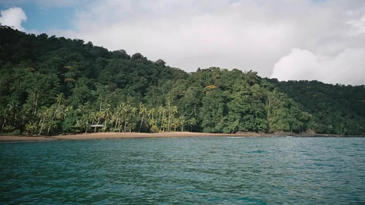 El Chocó: una deuda medioambiental de Ecuador