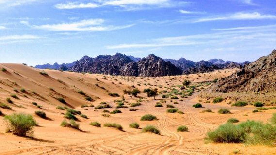 Huellas de hace 120.000 años halladas en Arabia Saudita develan como fue el poblamiento de Eurasia