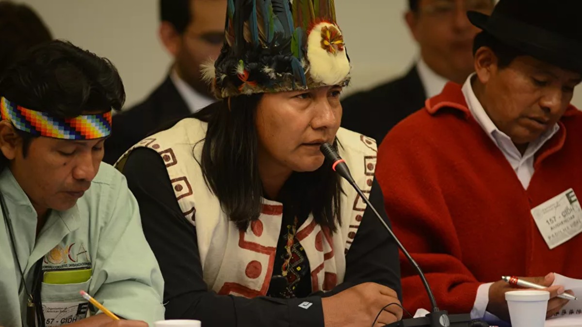 Ecuador: Comunidad Sapara denuncia deforestación en su territorio