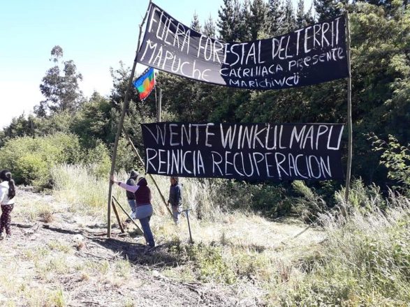 Werken Luis Melinao: «La tarea que tenemos como comunidad es recuperar el territorio»