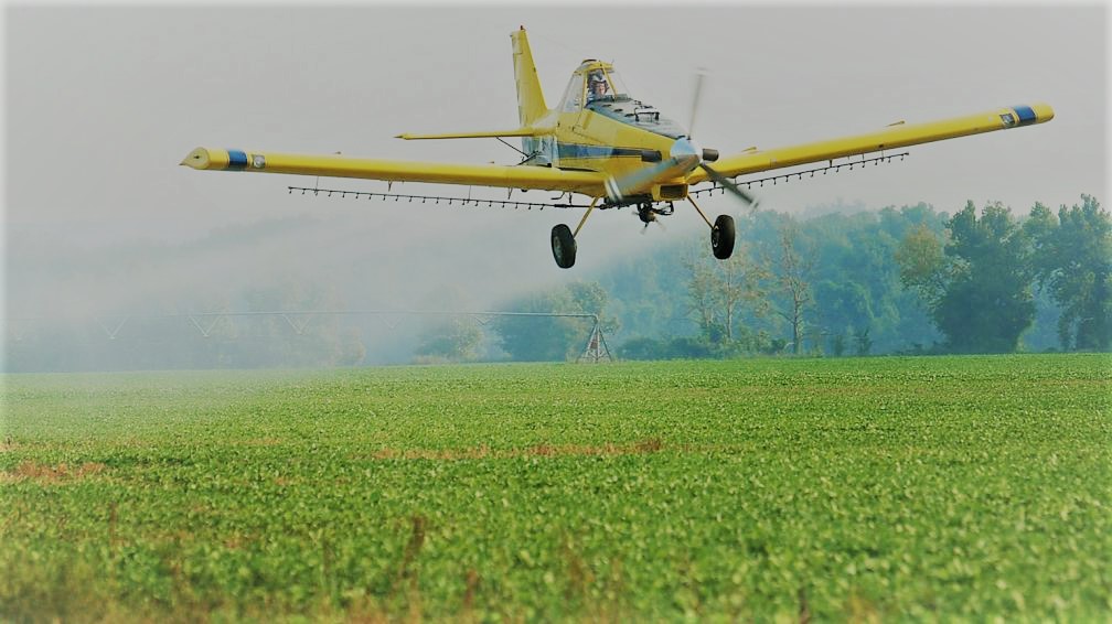 Colombia rechaza advertencia de la ONU de no reactivar las fumigaciones con glifosato