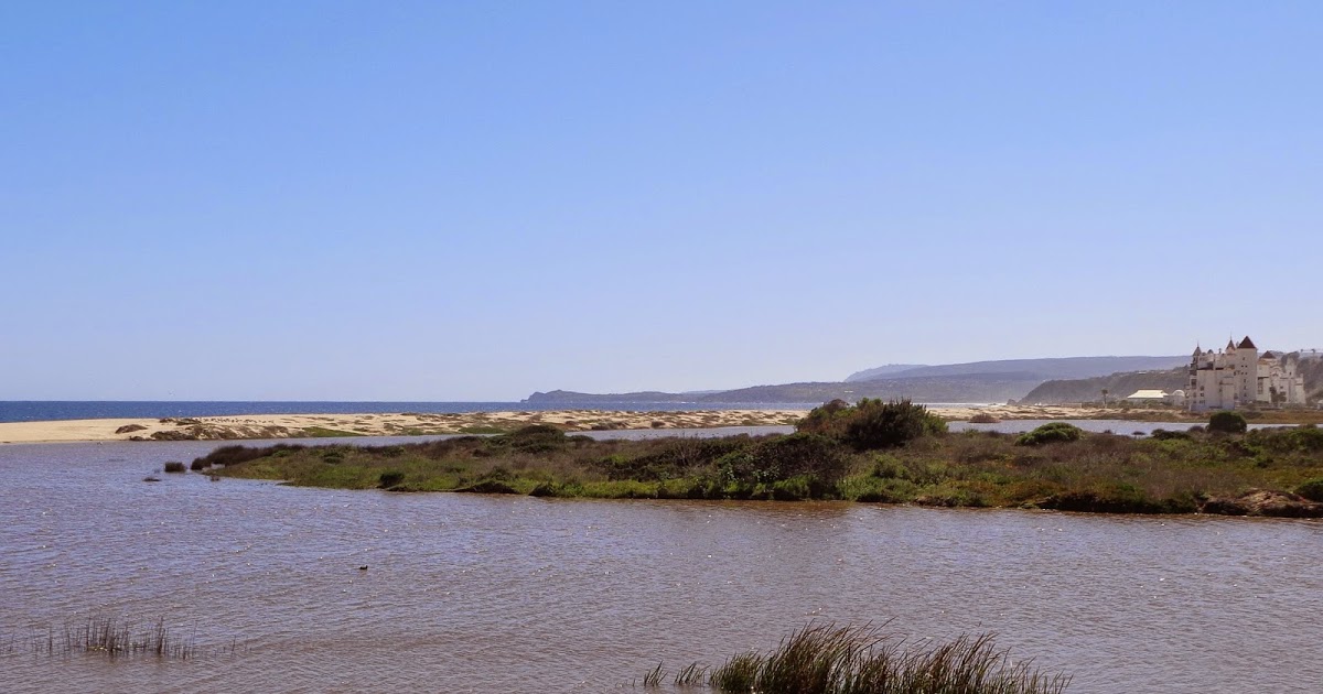 Algarrobo: Comité Ambiental entregó «expediente ciudadano» al municipio para conservación de humedales