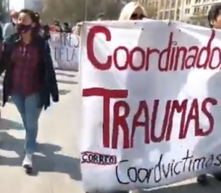 (Video) Manifestación frente a La Moneda en apoyo a Fabiola Campillai y las  víctimas de trauma ocular
