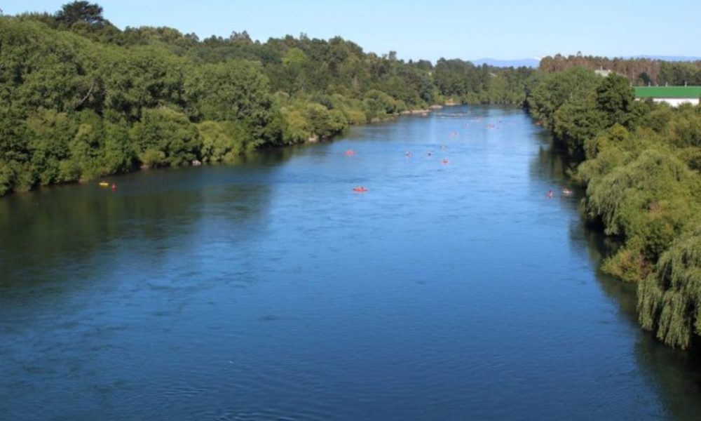 Organizaciones ambientales por proyecto hidroeléctrico en Río San Pedro: «Ya es hora que Colbún deje de insistir»